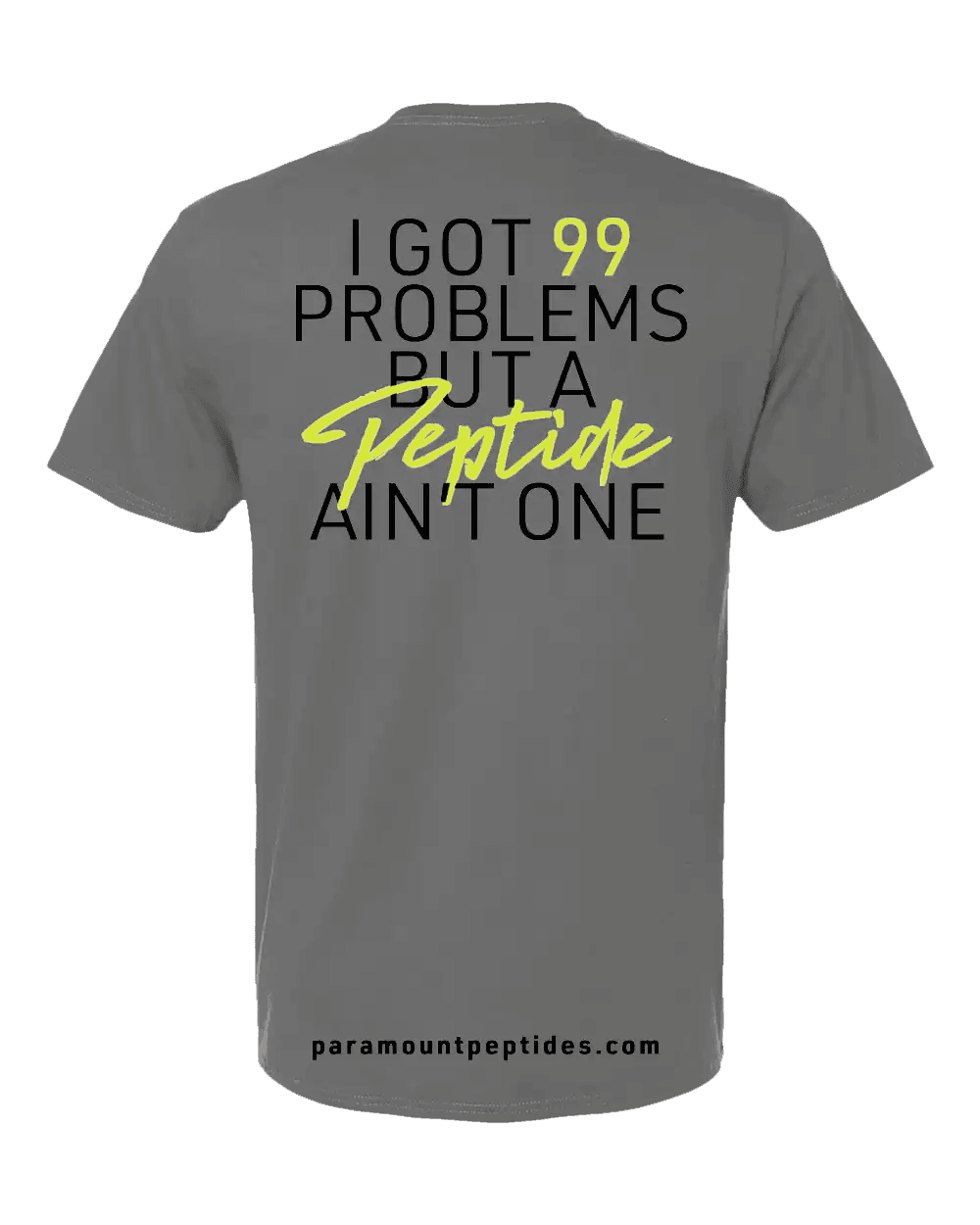 99 Problems T-Shirt - Gray