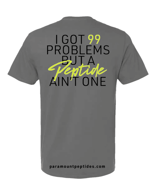 99 Problems T-Shirt - Gray