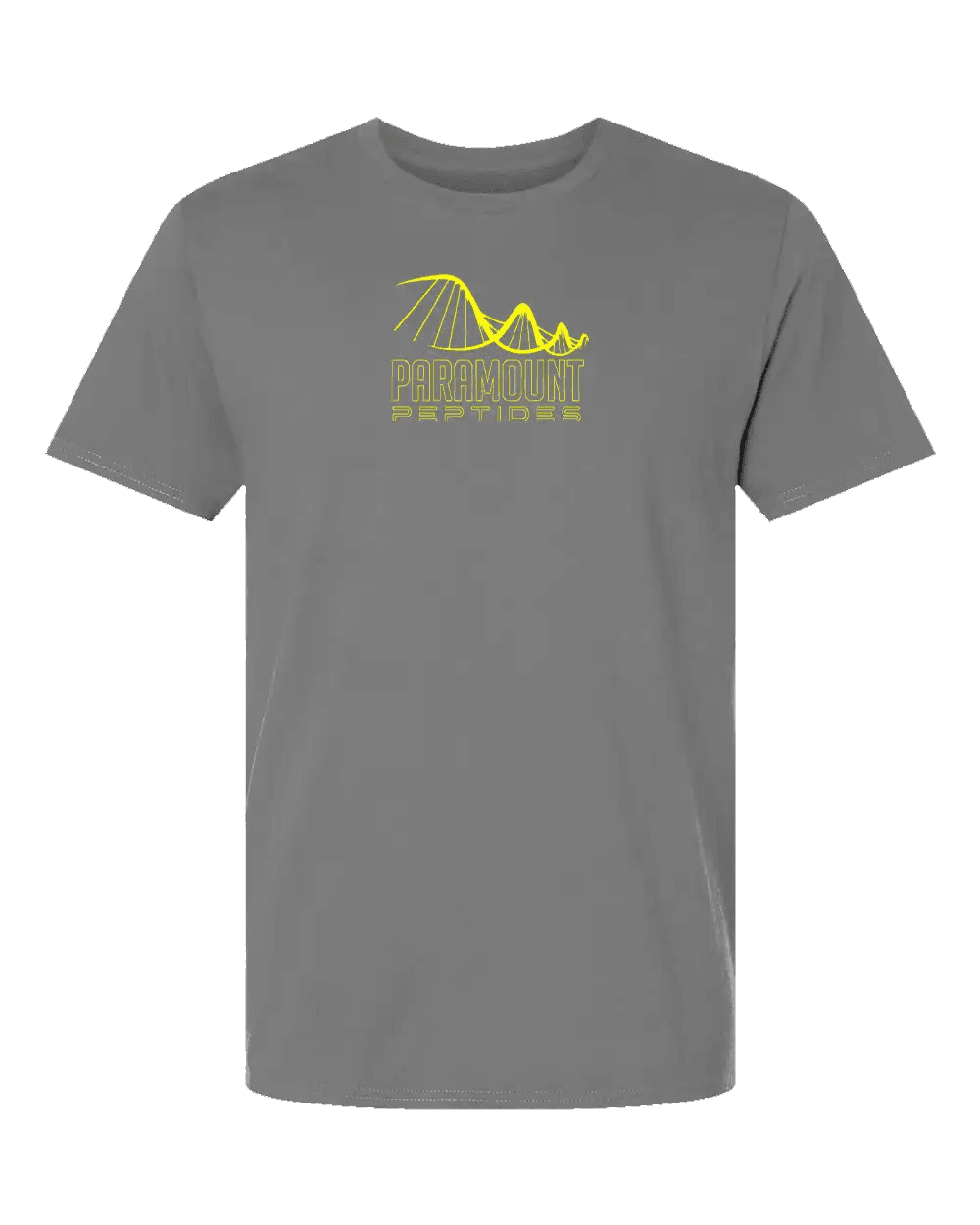 99 Problems T-Shirt - Gray