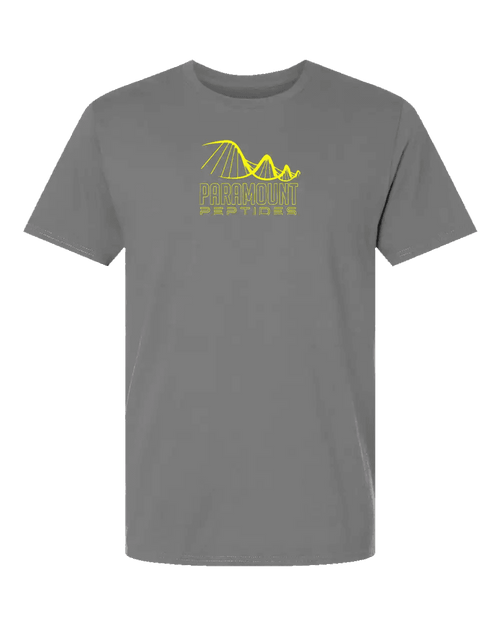 99 Problems T-Shirt - Gray